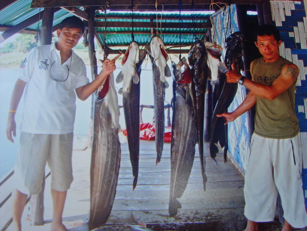ภาพเป็นสมาชิกนักตกปลาที่ชื่นชอบตก "ปลาเค้า" อีกกลุ่มหนึ่งครับ.

                             :lo