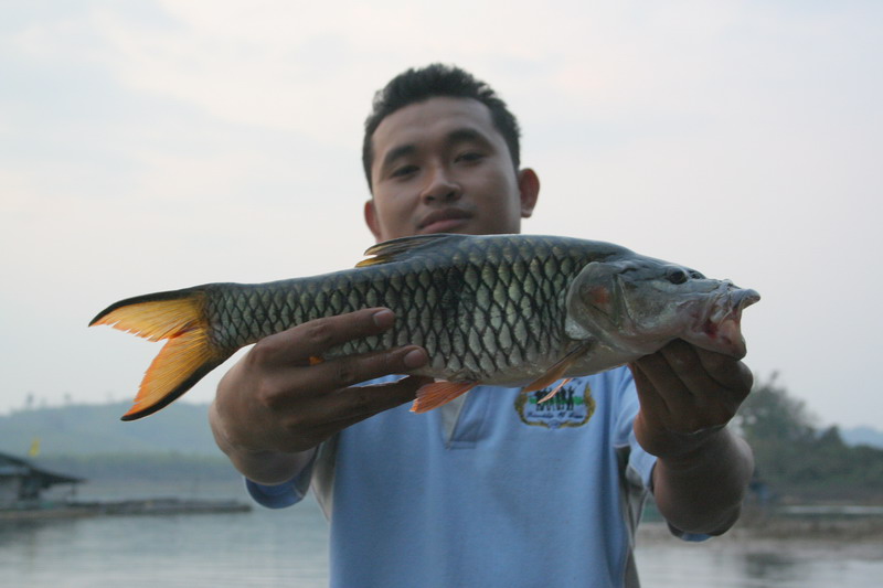 ดูกันชัดๆ อีกครั้ง กับตัวใหญ่ที่สุดของวัน  แต่ยังไม่ใช่ที่สุดของทริป อิอิ  :grin: