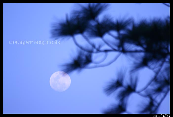 สติแตกเงียบ ๆ พระอาทิตย์วันนั้นตกยังไงไม่รู้
ได้สติอีกทีในกล้องมีแต่ภาพพระจันทร์...

หมดแรงฮวบ ๆ 