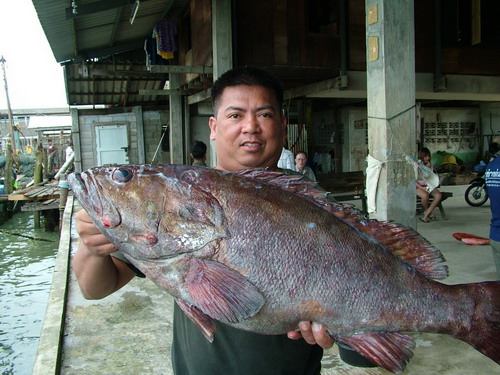 ภาพหมดแล้วนะครับ
เป็นภาพบางส่วนของการไปตกปลาในพม่า ของเรือโอเชี่ยนวัน ลำ 1
สนใจตกปลาน่านน้ำพม่า หร