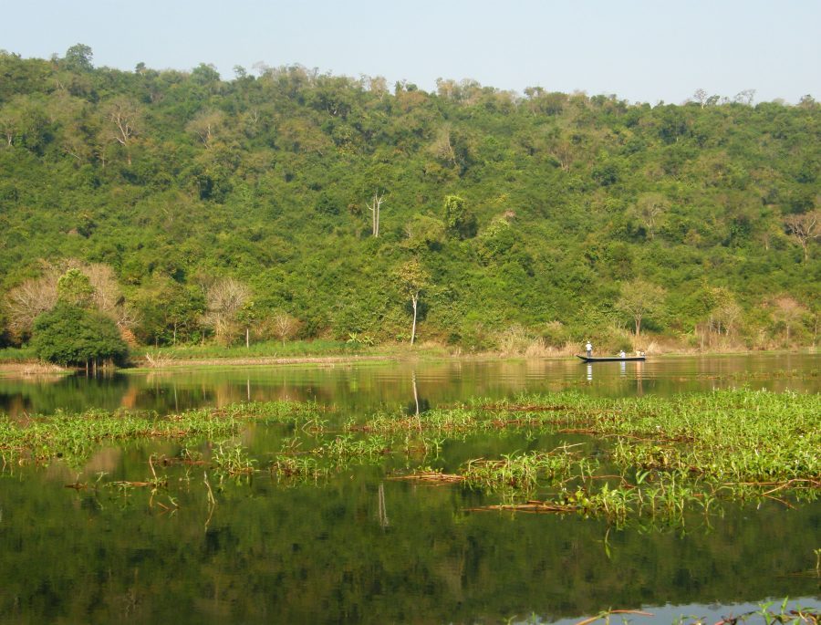 มีเพียงเรือของผม  กับเรือน้าต้อมกั