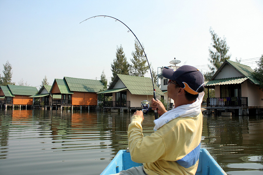  :grin: :grin: :grin: :grin: :grin: :grin:ลง เรือ พายไปได้ นิด นึง ก็ลอง ทอยเหยื่อดู

ลองตัวหมานเล