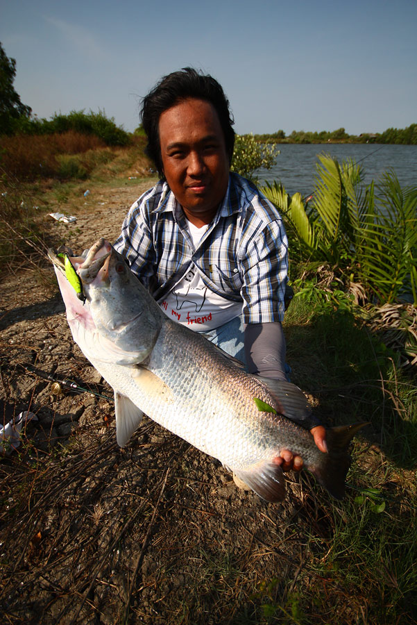 กระพงใหญ่ที่สุด ของทีม.....โดนน้ารีโว งัดขึ้นมาจากท้องน้ำในวันเขี้ยวๆ
 :grin: :grin: