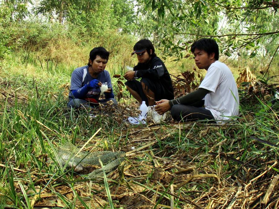 พักกินข้าวเที่ยงกันก่อนแดดร้อนจังเลย
ดีนะที่เราแวะซื้อข้าวเหนียวหมูปิ้งติดไม้ติดมือมาด้วย
 :umh: