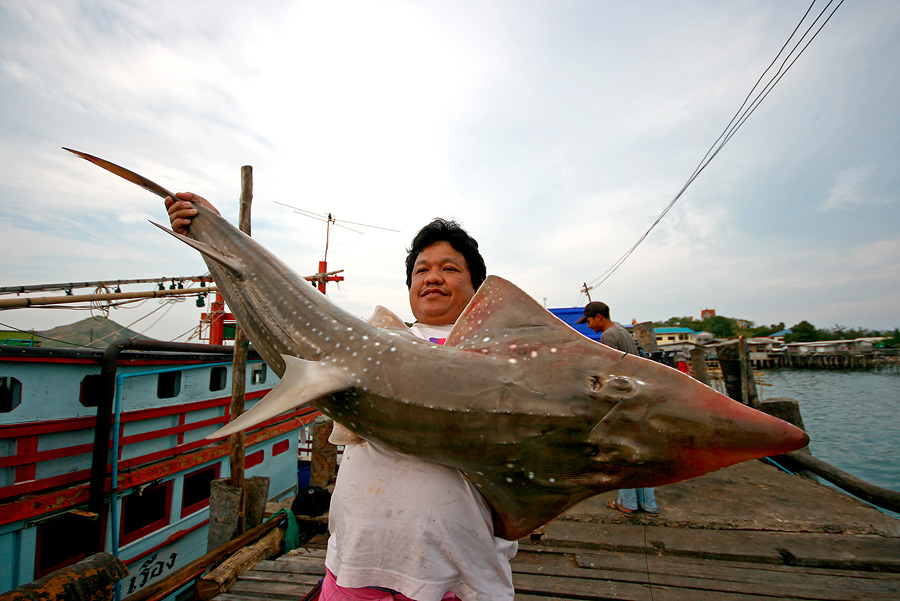 
ถ่ายในเรือ ทำไมดูเล็กจังหว่า  :laughing:

นี่ มันต้องมาถ่ายบนฝั่งแบบนี้ เอ้า ฮึบ  :grin: