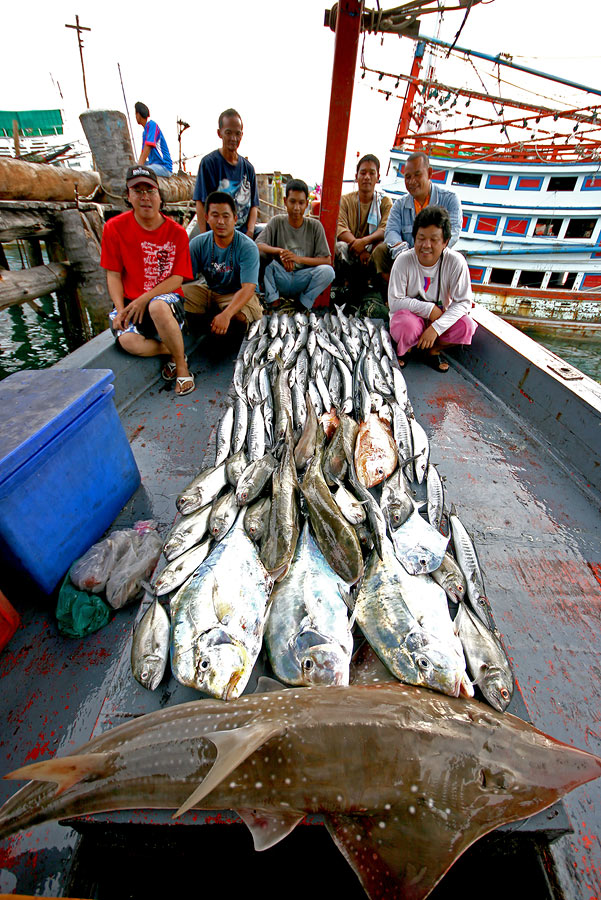 
ร่วมประทับใจ ไปตามๆกัน

ตามหาฝันกั