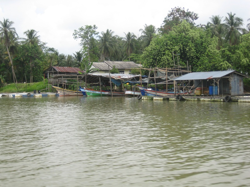 .... ท่าเรือ ตรง นี้ ก้อเคยมาใช้ บริการ แล้วครับ ....

 :cool: :laughing: :blush: