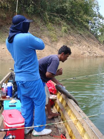 เสร็จพี่ยุเจ้าของแพครับ พออัดมาใกล้เรือก็คว้าทันที :cheer: