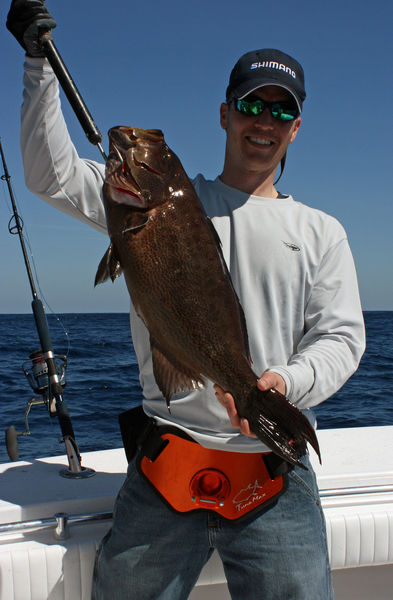 Scamp Grouper little little :laughing: