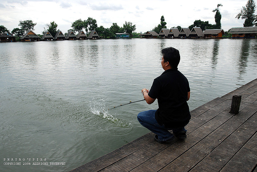 
เพ่โปรฯครับ  ..................  เพ่รู้จักโปรฯค