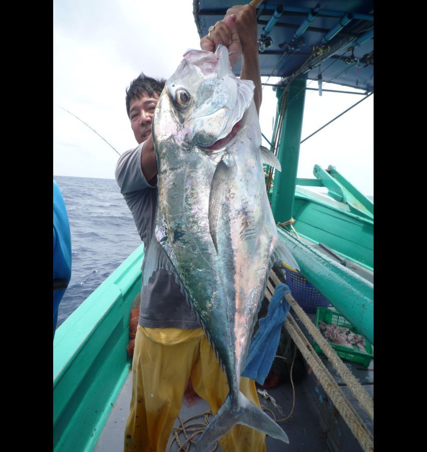 พี่ไพรวัลย์ปลาฉวยที่ท้ายเรือแต่พี่เค้าจูงเอามาขึ้นโชว์ตัวที่กลางลำเรือด้วยความมั่นใจว่าบิ๊กสุดแน่ๆ