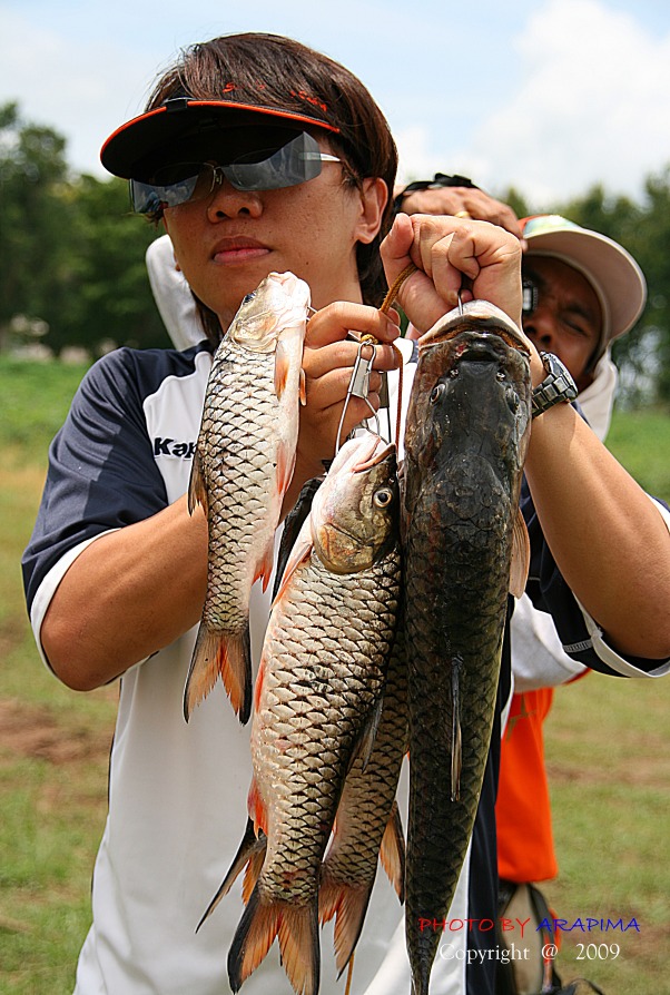  :grin: :grin:  กลับเข้าฝั่งมาเจอกับ น้าท่านนี้....
หิ้วมาเป็นพวงเลยจร้า....มีไซส์ใหญ่ซะด้วย...สุดย