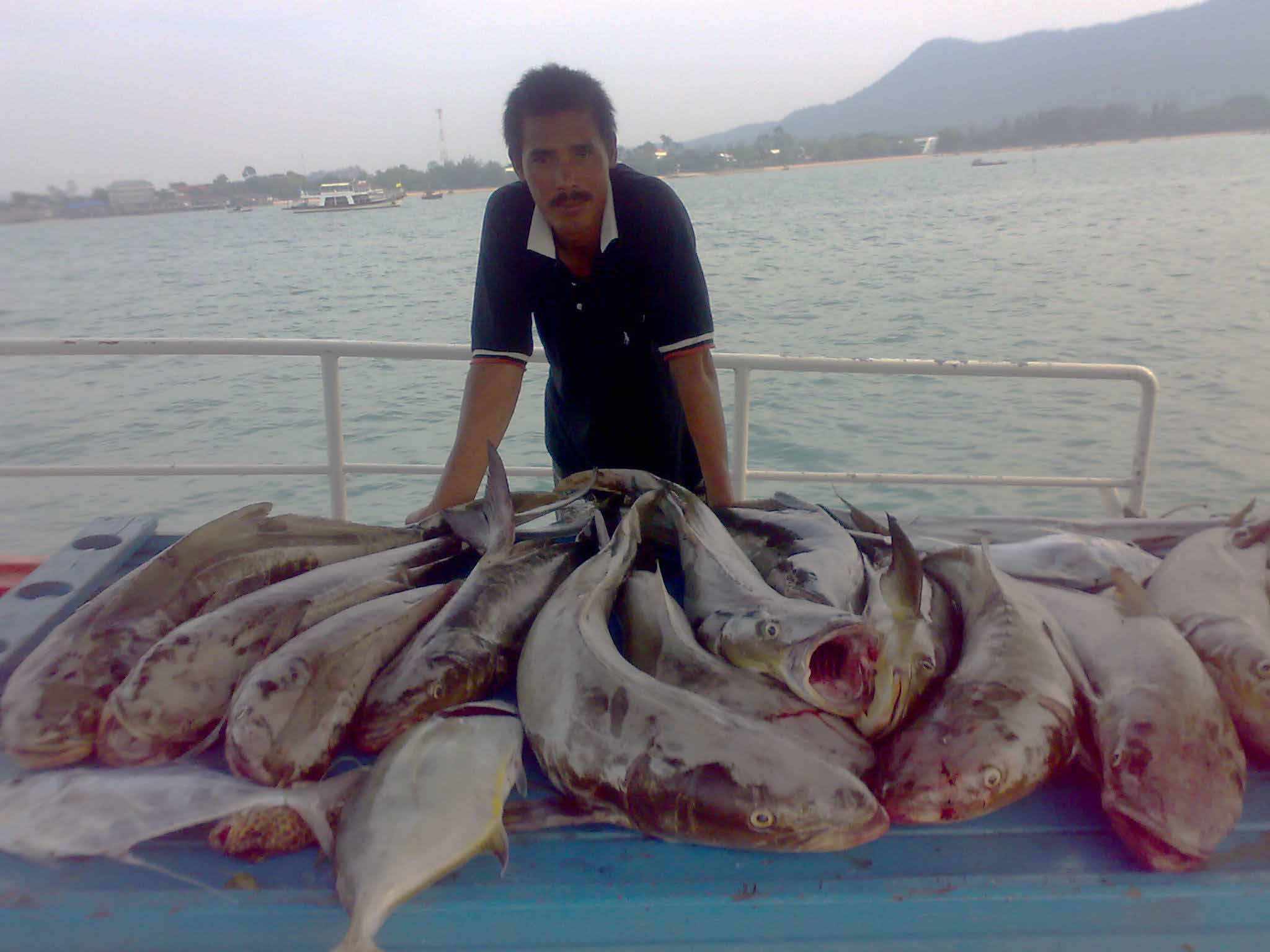 สนใจออกทริปตกปลา ติดต่อที่เบอร์ 081-177-6564 (ไต๋ธรรมบางเสร่)
