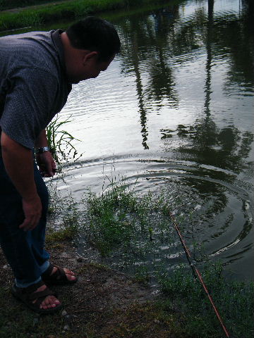 ถ่ายตัวปลาไม่ทันครับ
---------------------------------
ภาพบางมุมมืดหน่อยนะครับ พอดีมือไปโดนโหมดอื่