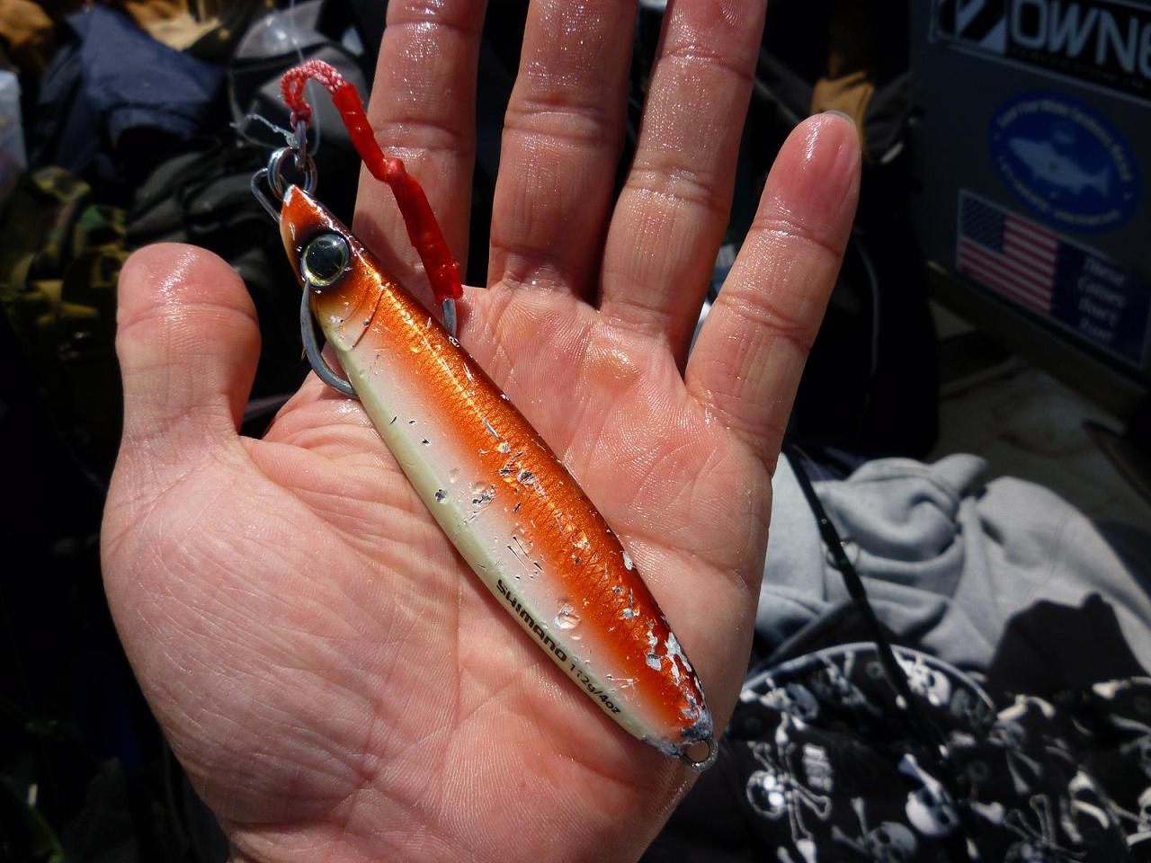  ตก  Barracuda  ที่ Santa Monica Bay