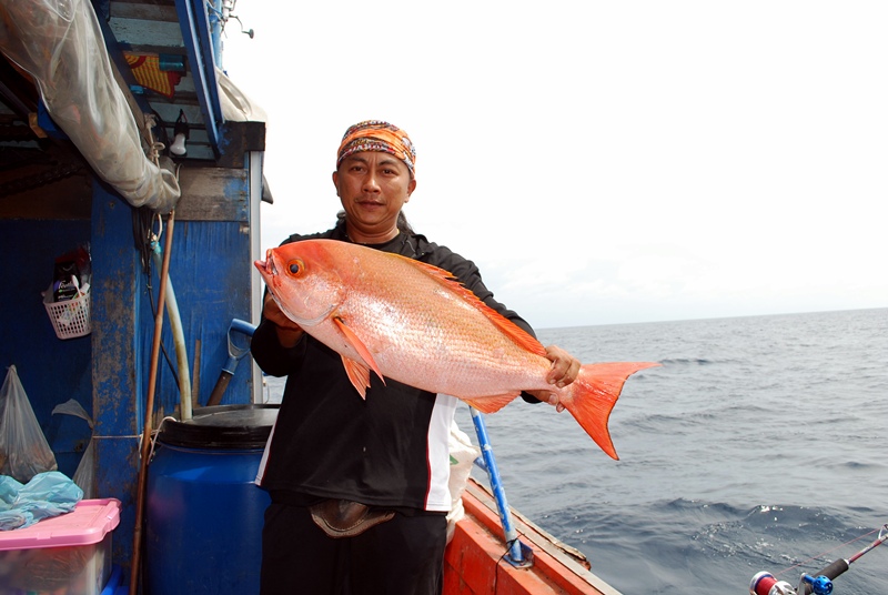  ทางนี้เรียกปลานี้ว่าบาหงันครับเป็นภาษามาเลย์ครับ ส่วนทางภาคกลางไม่รู้เรียกว่าปลาแดงหางบ่วงหรือว่าแด