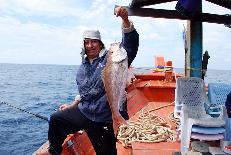  ทางฝั่งพม่าเรียกว่าปลาสีเงิน ปลาน้ำลึกเนื่อดีราคาแพงอีกตัวนึงครับ ราคาที่ตลาดทางมาเลย์ว่ากันกก.ละร่