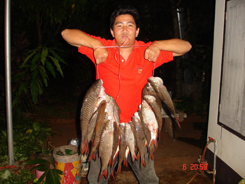 กลับมาถึงบ้านเอาเชือกผูกเพื่อจะถ่ายรูป  หนักครับชั่งแล้ว 14 kg ครับ  ได้ปลา 25  ตัว 
ก็ถือว่าไม่แห้