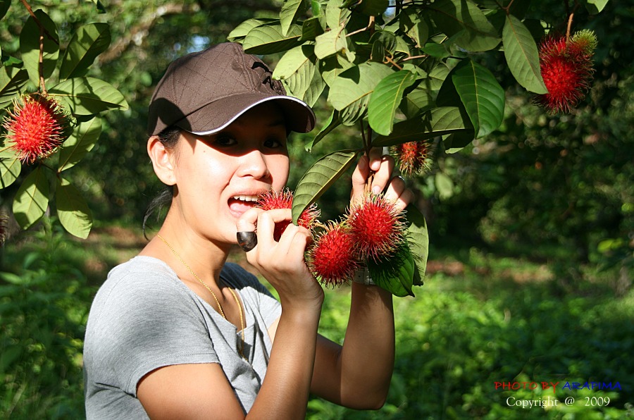 เทพธิดาเงาะ  งานนี้ โอปอ ชนะเลิศ

อิอิ  :grin: :grin: