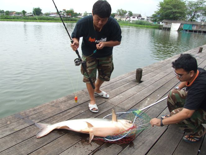 ไม่เป็นไรพี่ ผมปลดให้ด้วเลย

"น้ำใจงามจริงๆพ่อหนุ่ม" :grin: