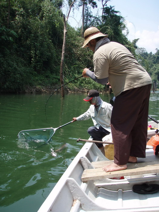 เสร็จแล้วก็ออกตกปลากันต่อ

ดูซิปลาดึงเรือเอียงเลย :laughing: :laughing: