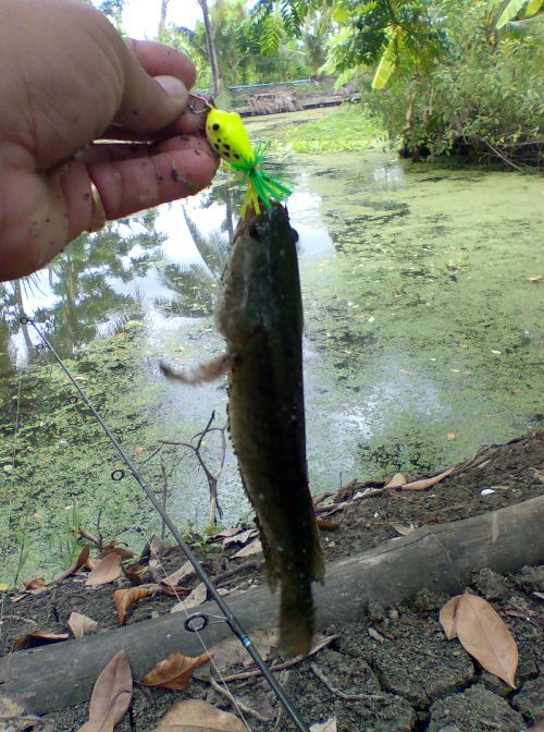 ได้ทีเอาอีกในอู่เรือเลย ตบเด็กซะแล้ว :tongue: