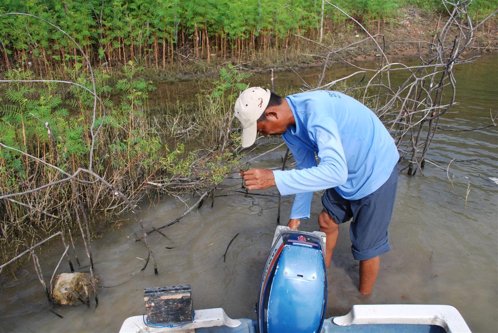 ยามเหงากับ.ทิดถุย.+++: SiamFishing : Thailand Fishing