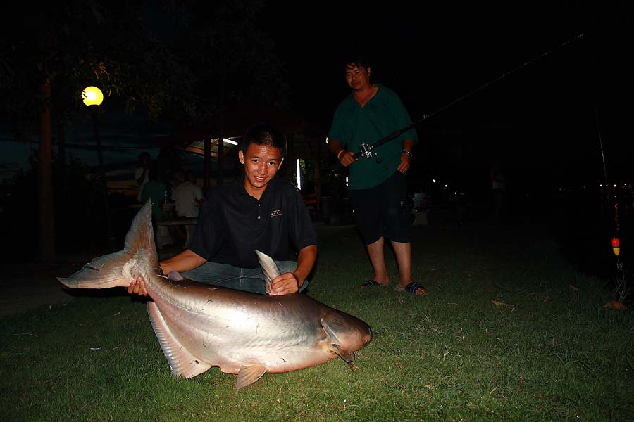 ภาพสุดท้ายแล้วครับ

ขอลากันด้วยภาพ ปลาตัวสุดท้ายที่น้าโก้+เจ้าติม ช่วยกันอัดขึ้นมาครับ  :laughing: