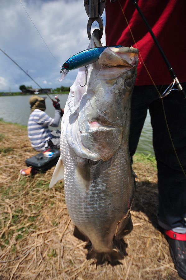 ซัดบีฟรีซ น้านัท เข้าไปเต็มคำ โอ้วว