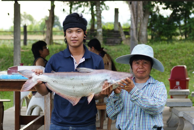 นี้ครับปลา ที่ขึ้นมาเเล้วตัวใหย่ที่สุดในอาทิตย์นี้ครับ  