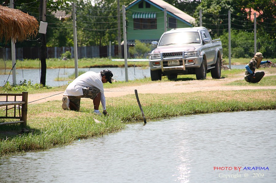  :love: :love: :love: :love: :love: :love: :love: :love:


 [q]ยังทันขอ ไปด