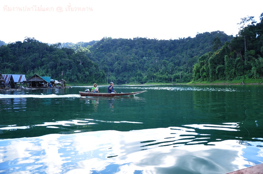 


มีคนแอบขอฉายเดี่ยว
ลงเรือเล็กไปคนเดียวแล้วคับ