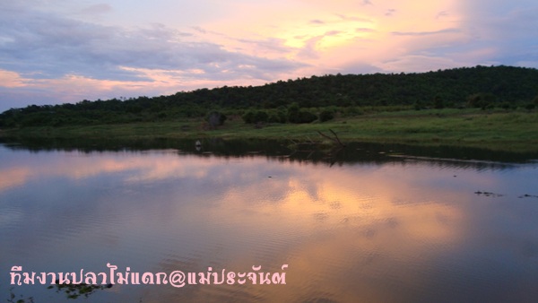 ลากันด้วยภาพสวยๆแล้วพบกันใหม่นะแม่ประจันต์ต้องมีวันของเราบ้าง :smile: :smile: