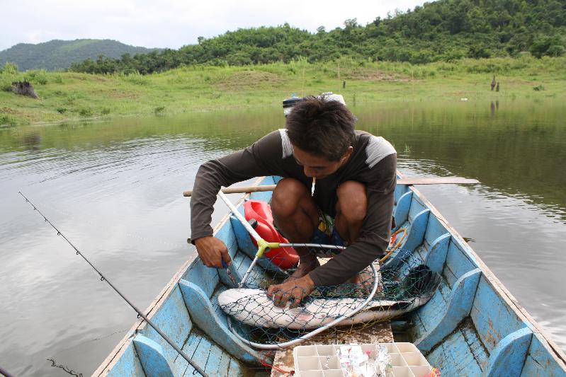 ไม่กี่ไม้ อยู่ครับ ไต๋ไก่ช้อนขึ้นเรือ ( ไม่มีภาพตอนอัด น้าเบียร์ถ่ายเองอัดเอง ไม่ใช้ตัวแสดงแทน  :lau