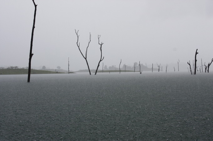 และแล้วฝนก็โปรยบปรายลงมา