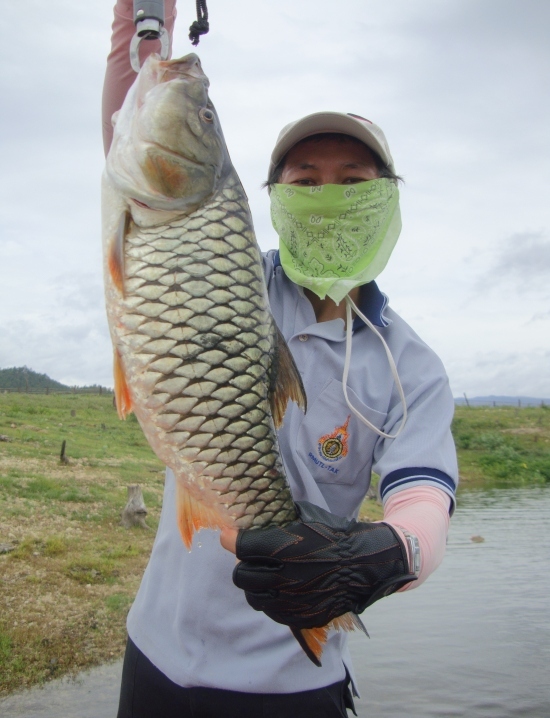 นี่เลยครับตัวใหญ่สุดของงานของเเพท 