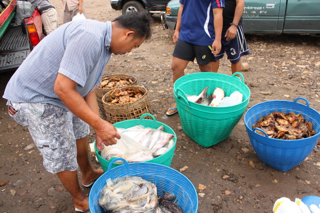 ช่วงเช้า มีชาวบ้าน เอาปลามาขาย  :cool: :cool:
