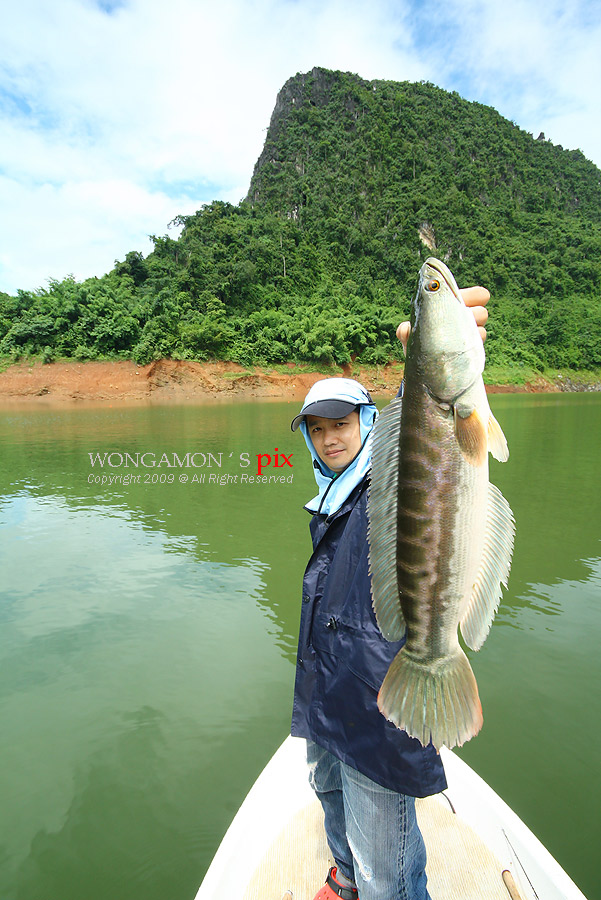  ทริปที่แล้ว(วันฟ้าใส)ก็หลุดสะบั้นหั่นแหลก...เลยอ่างว่าปล่อยปลาในวันคล้ายวันเกิดซ่ะ :grin: :grin:

