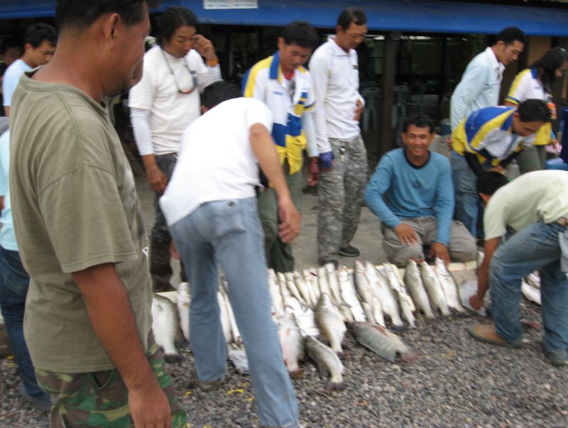 หลังจากถ่ายรูปเสร็จ ช่วงนี้ก็เป็นช่วงที่ ชุลมุนครับ อิอิ  ปลาใคร ปลาใคร จะจำได้กันไม๊เนี่ย เอิ๊ก ๆ ๆ
