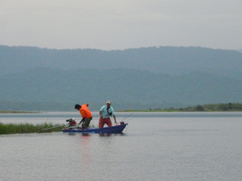 ขับเรือไม่เป็นด้วย 