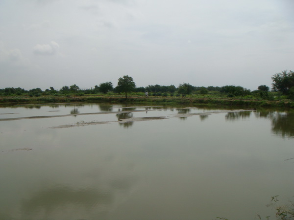 น้านุ สตรีท เราเข้าสเต็บเดิม  เดินจ้