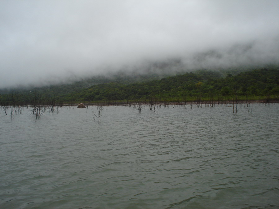 เราวิ่งเรือ ข้ามมาฝั่งตรงข้ามกับที่เราเอาเรือลงเลยครับ ดูแล้วหมายนี้น่าจะเวิร์ค เพราะมีป่าจมน้ำเยอะเ