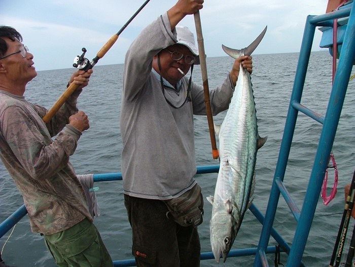 ตัวนี้ ไม่รู้ว่าเขาเล่นกันมาตอนไหน เดินมาท้ายเรือเขาเอาขึ้นมาพอดี :cheer: