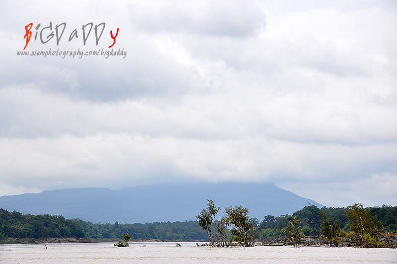 เดินกันอยู่ซักพักก็ได้เวลากลับครับ...

เพราะฝนก็เริ่มลงเม็ดด้วยครับ... 

 :cheer: