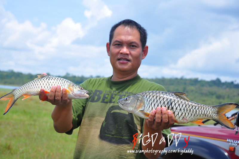 บางส่วนจากช่วงเช้า ครับ.... :cheer:

ขอไปธุระก่อนนะครับ เด๋วมาต่อ.... :cheer: