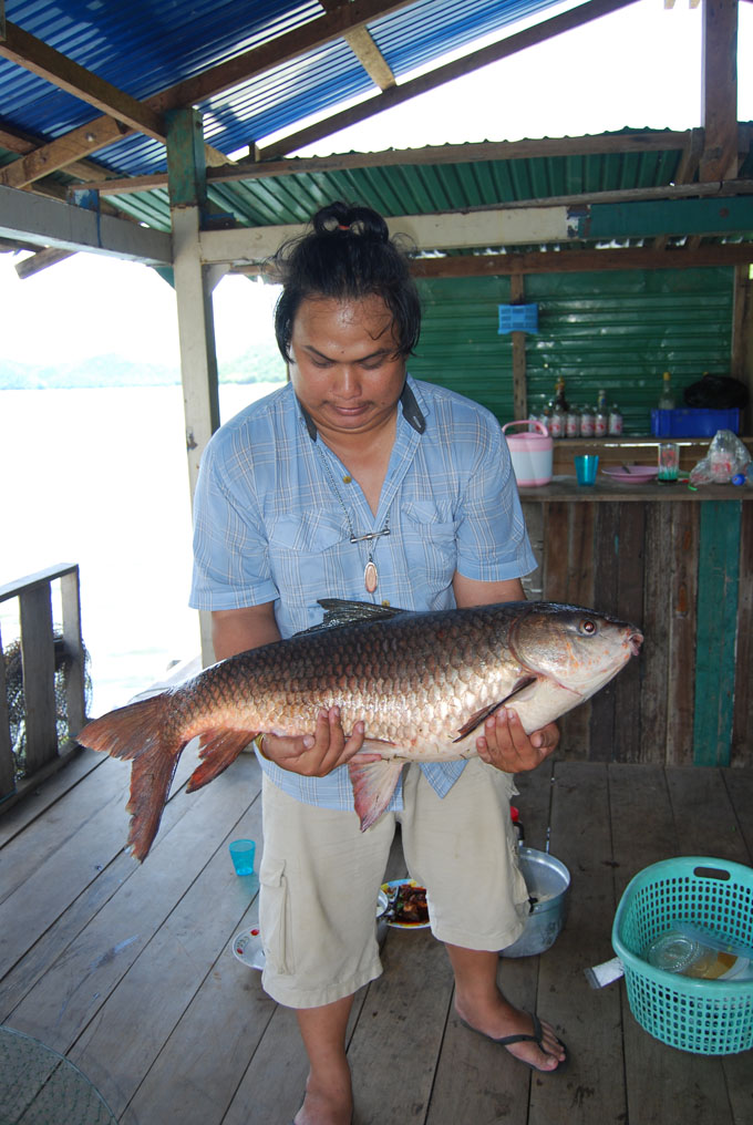 ตัวนี้เป็นตัวสุดท้ายที่ตกได้ ใหญ่มากเลยครับ  :smile: