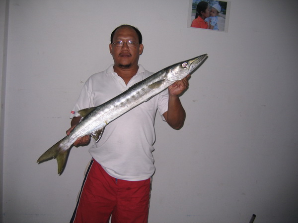 เมื่อคืนไปตกมาได้มาอีก 1 หางครับ (27/08/09) ใช้ BG 90 ครับ  เมนูขึ้นหัวเรียกว่าปลาเห็ดโคนทอดขมิ้นครั