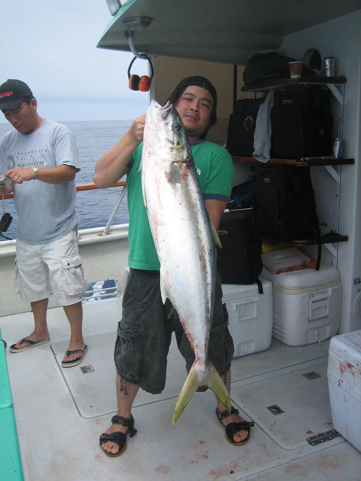  ขอ อนุญาติ  ลงรูปแทรกนะคับ

 พอดีอยากทราบว่า King Fish  กะ  Yellow Tail<USA>  ในรูป นี่ตัวเดียวกั