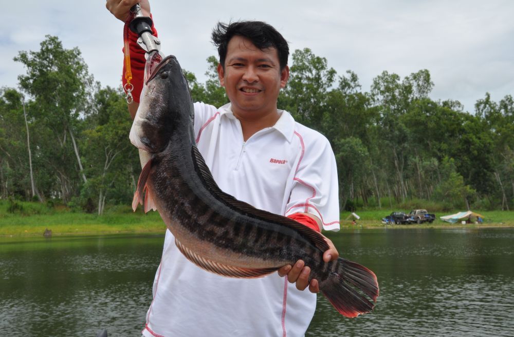 RayongTackle&All Wood กับ ดอกกราย ณ. วันที่ ลมและฝน ไม่เป็นใจ