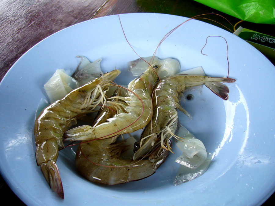 หมึกหาย ต้องเดือดร้อนกุ้งงงงง